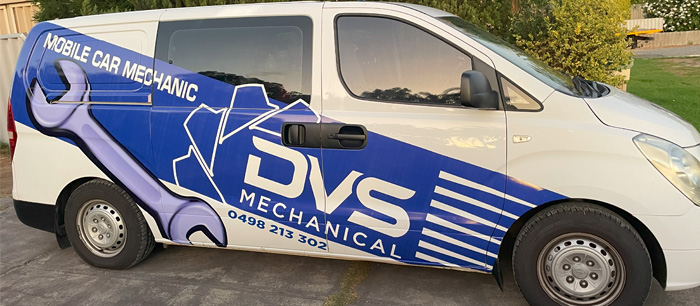 DVS